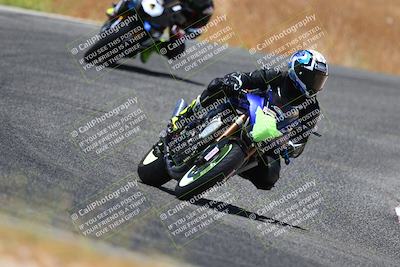 media/Jul-08-2023-2WTD (Sat) [[c8c0d2e149]]/B Group/1220pm (Turn 5)/